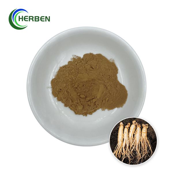 Droog Ginseng-extract
