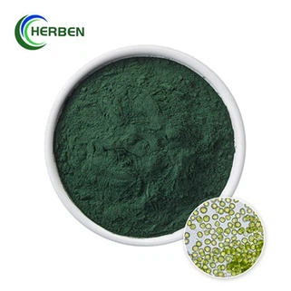 Chlorella Vulgaris-poeder