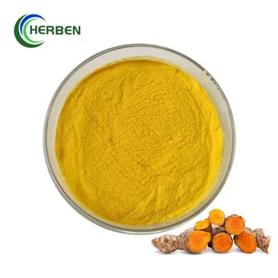 Puur curcumine-extract